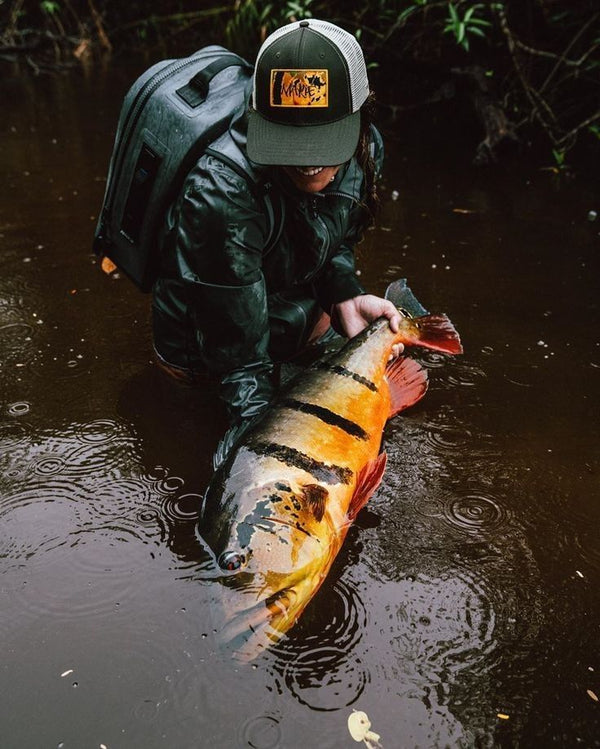 Dicas de Pesca para Melhorar sua Performance