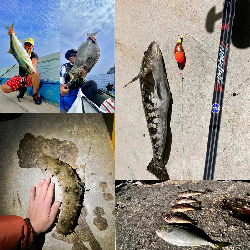 Vara de Pesca Compacta  Symphon S | BIUTIFU