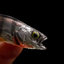 Isca Articulada Atrativa Febre nos Estados Unidos | 4 unidades |