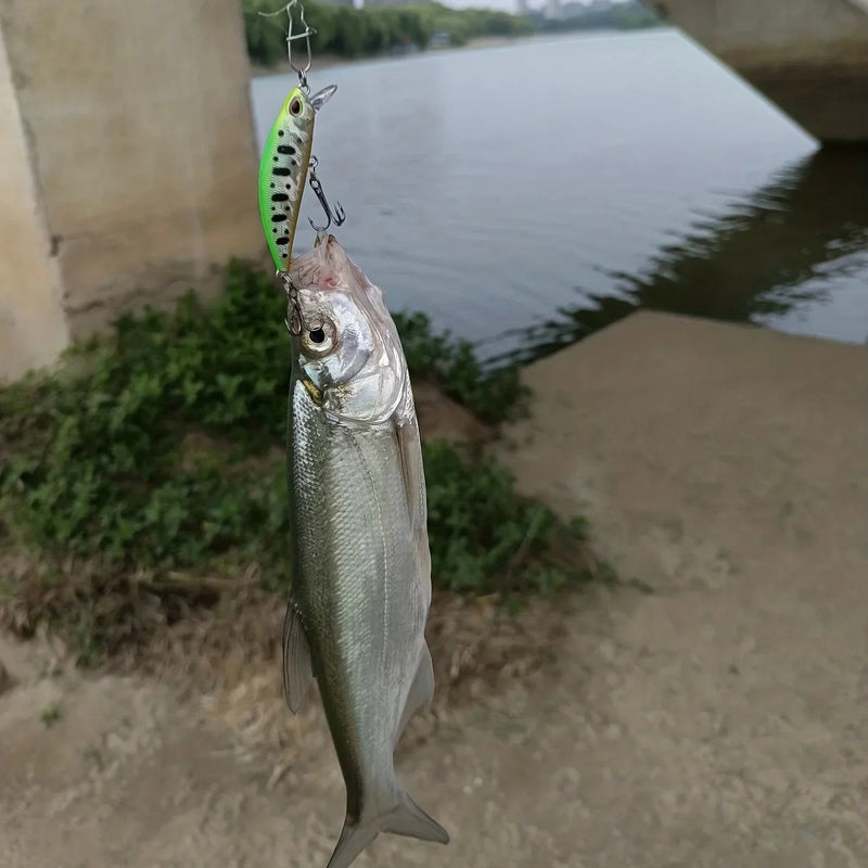 Kit 5 Iscas Jerkbaits Fisgada Garantida – Modelo Japonês