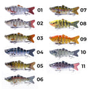 Kit de Lambari Articulado | 6 Peças + Caixa |